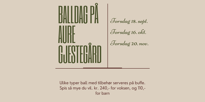 Bilde/illustrasjon for Balldag Balldag